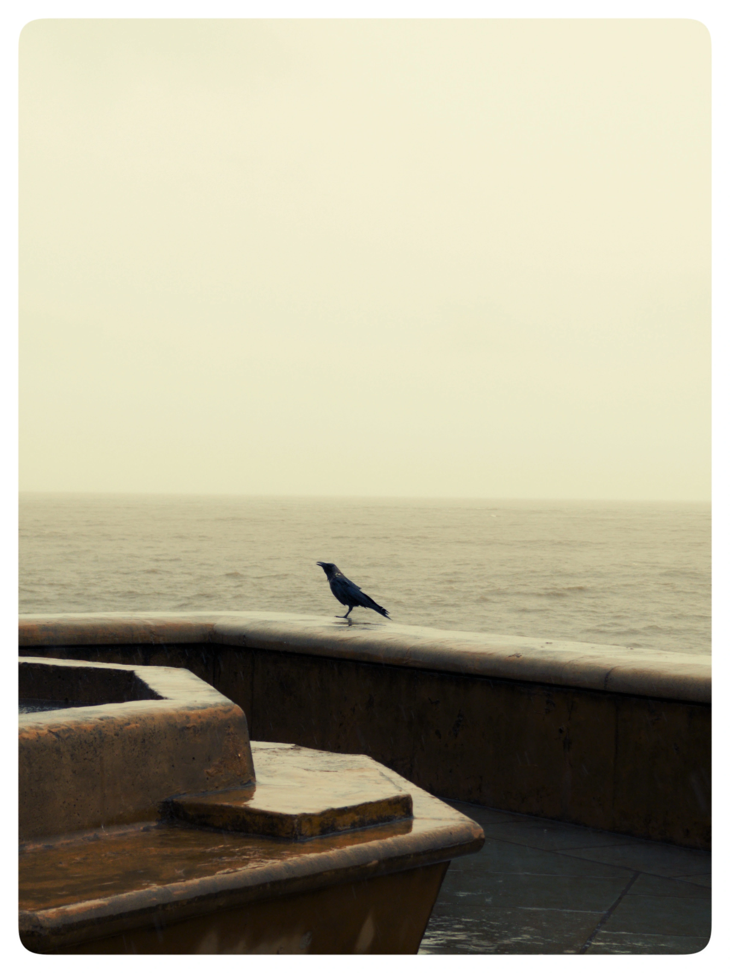 A single bird stands on a curved seawall beside concrete steps and a hazy sea.
