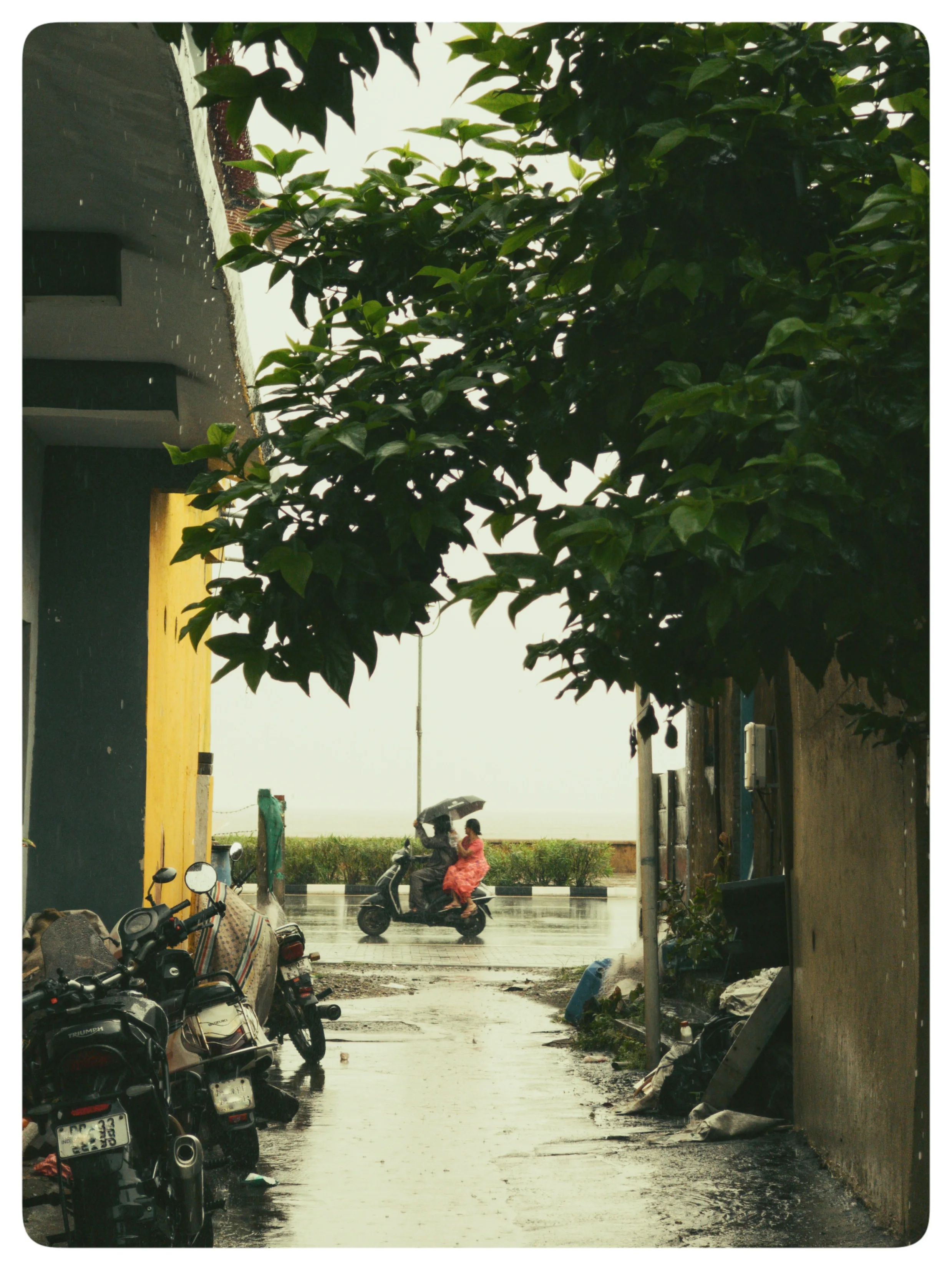A leafy lane with parked motorcycles leads towards people and a vehicle in the distance.
