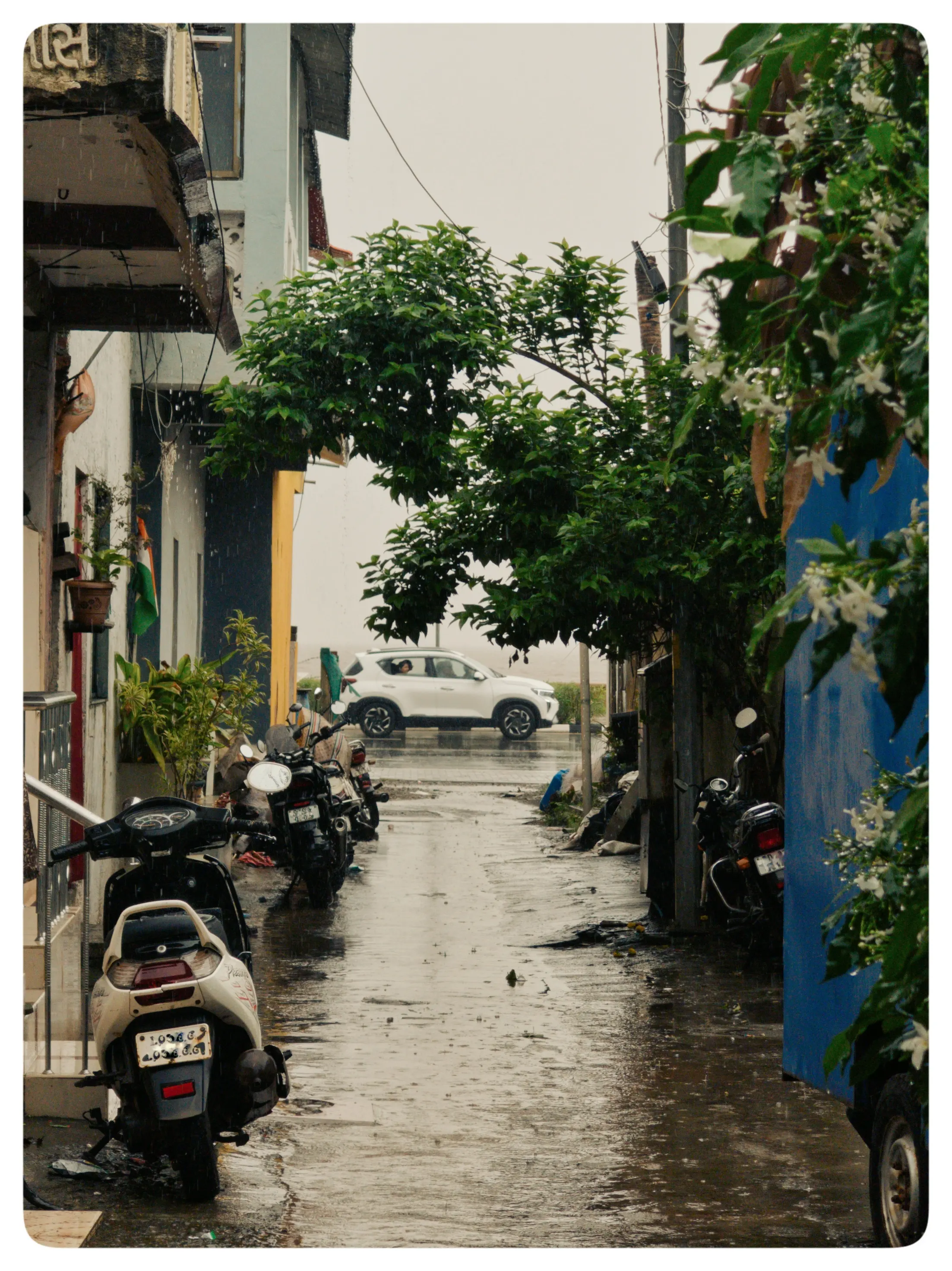 Parked scooters line a narrow rain-soaked residential lane with trees and houses.