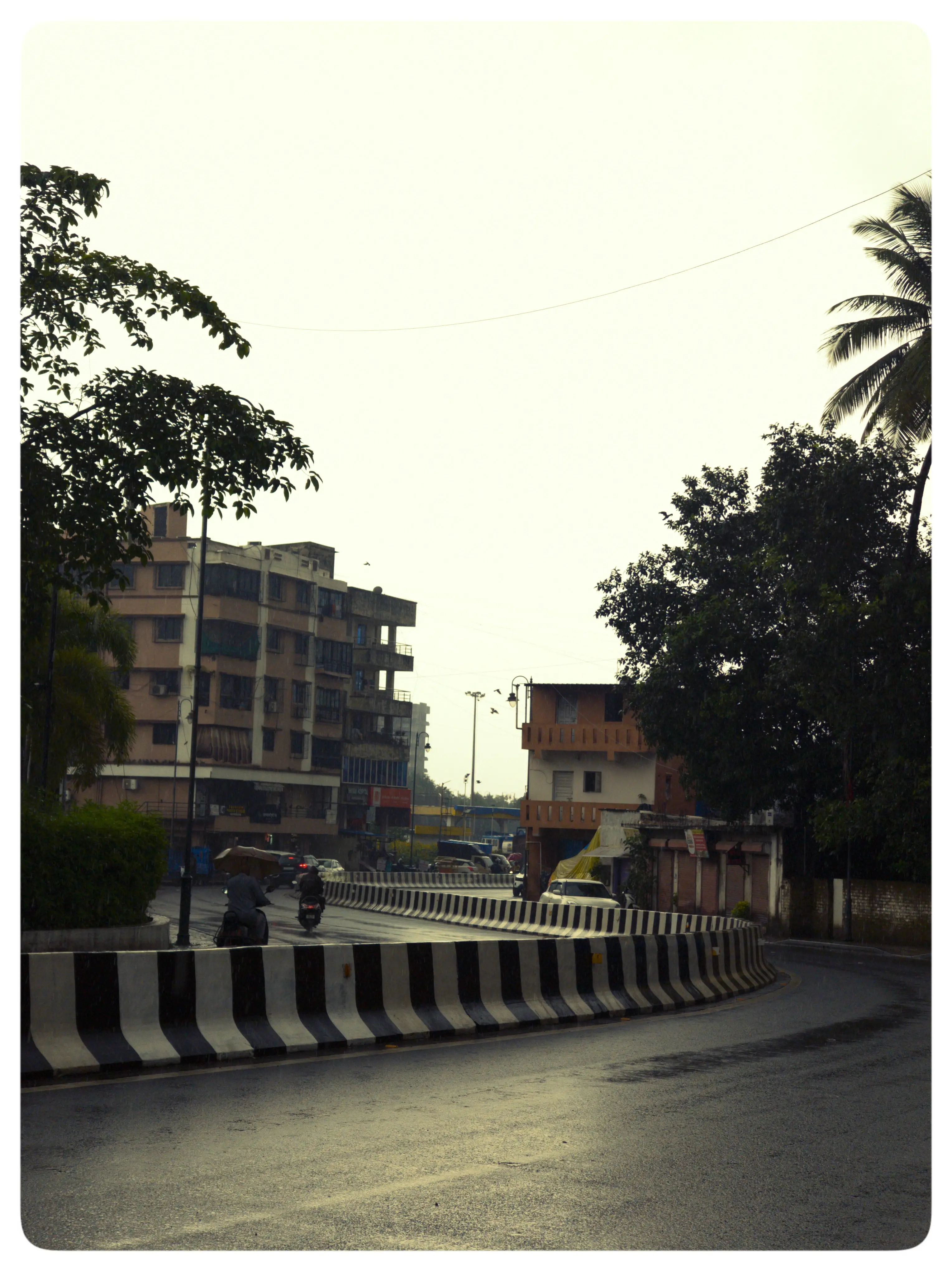 A wet road curves around a striped divider beneath roadside trees.