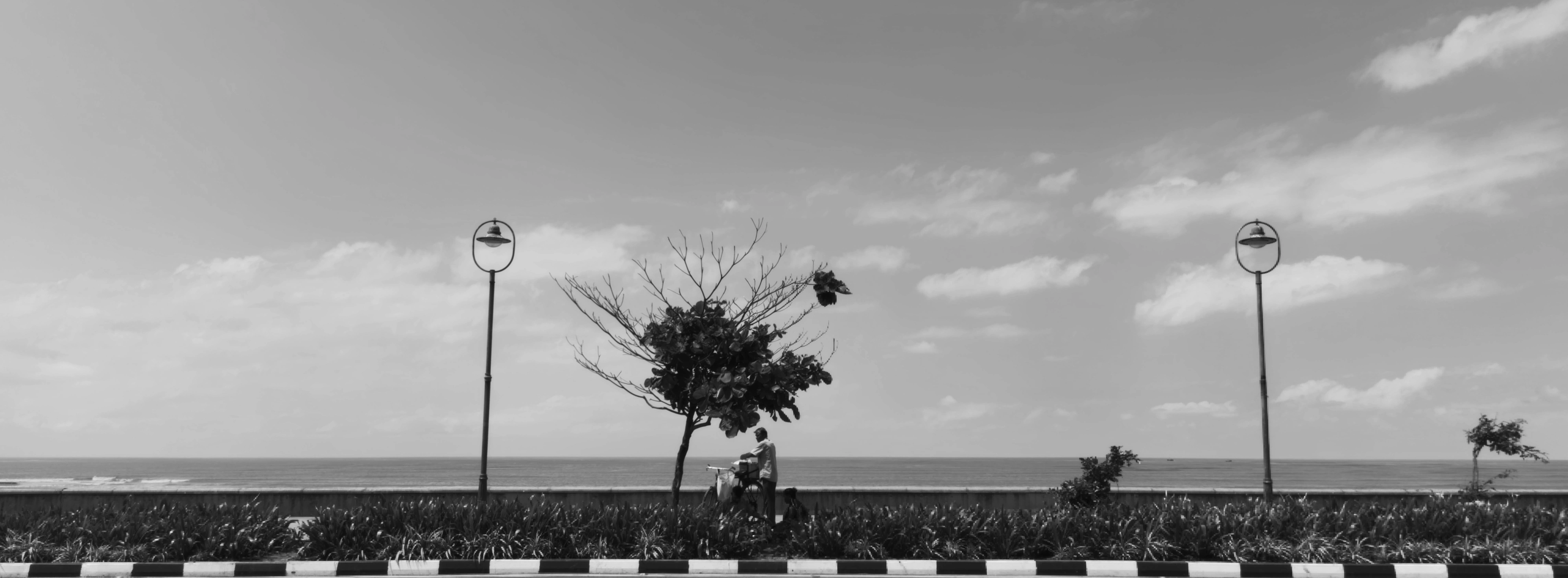 Scale of Silence
